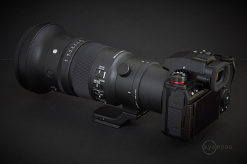 シグマ SIGMA 500mm F5.6 DG DN OS | Sports with Panasonic LUMIX